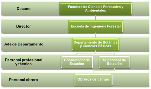 organigrama2.png